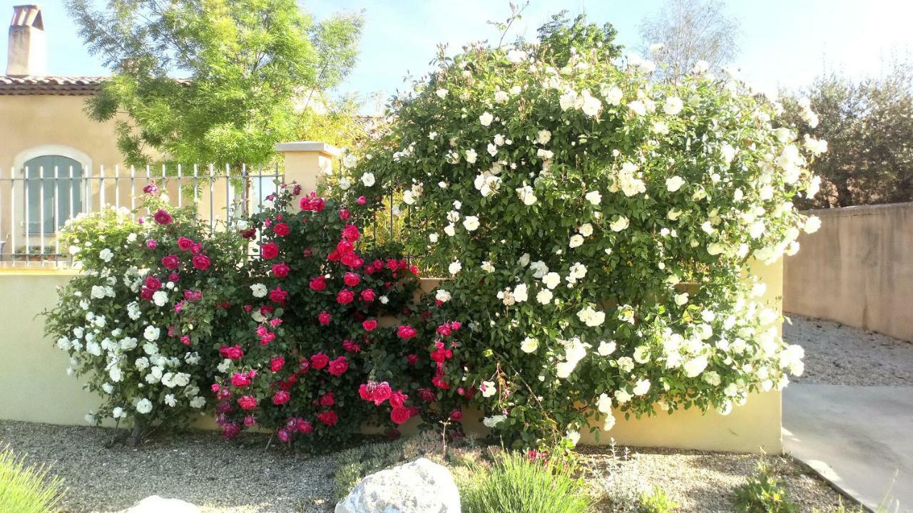 Charmant T2 climatisé avec belle vue , Golf de Pont-Royal Mallemort Exterior foto